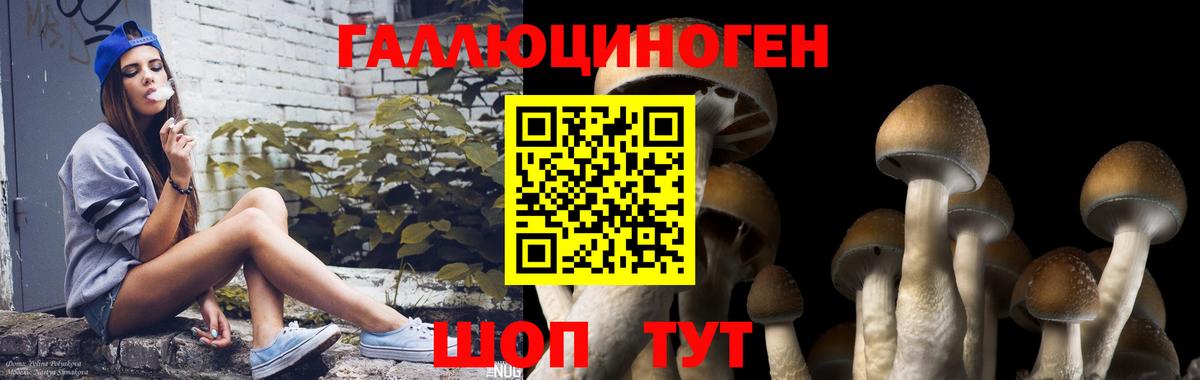 Дюртюли  где найти наркотики  Вход с VPN  Псилоцибиновые грибы мицелий 